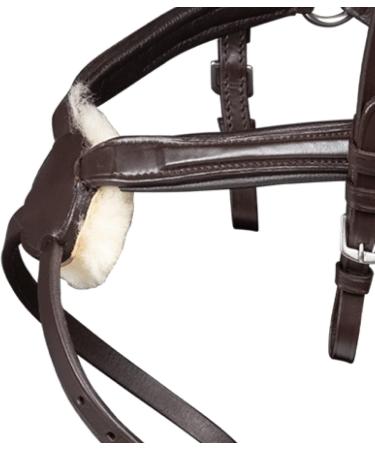 WALDHAUSEN X-Line Standard Bridle Canc n - Dark Brown & Stainless Steel for Warmbloods | Premium Equestrian Gear - Buy Online on GoSupps.com
