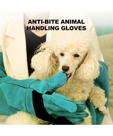 Animal Handling Gloves - Anti Bite Safety Gloves Pet Scratch Protection Gloves | Comfortable Pet Gloves Scratch and Bite Protection Gloves for Hawks Snakes and Other Re 60 Cm-green - Buy Online on GoSupps.com