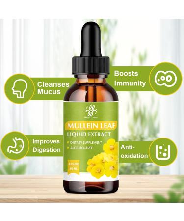iMATCHME Mullein Leaf Extract - Lung Cleanse & Respiratory Support - Herbal Supplement - 2 FL OZ - Buy Online on GoSupps.com