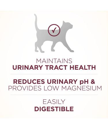 Purina ONE Urinary Tract Health High Protein Natural Adult Cat Food - Chicken, 7 lb Bag - Buy Online on GoSupps.com