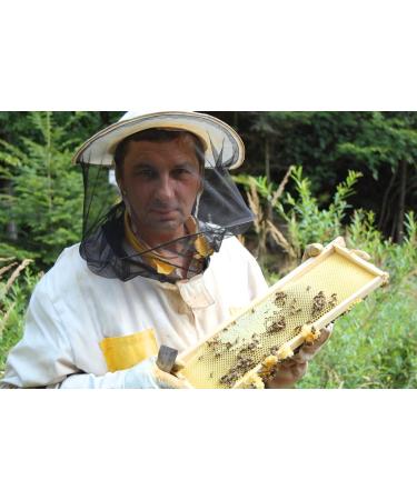 Pure Wild Raspberry Honey - 500g | Raw & Natural | Ethically Harvested | Boosts Vitality and Immunity | Sustainable Packaging - Buy Online on GoSupps.com