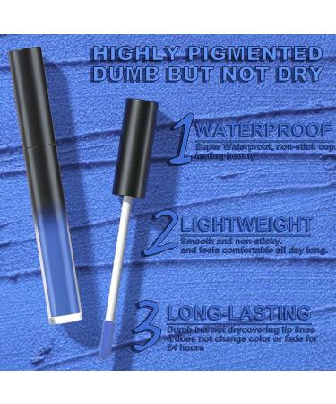 AMY'S DIARY Matte Plum Liquid Lipstick Set - 5 Pcs 24-Hour Waterproof Lip Stain for Women | Deep Blue Green Plum Shades - Buy Online on GoSupps.com