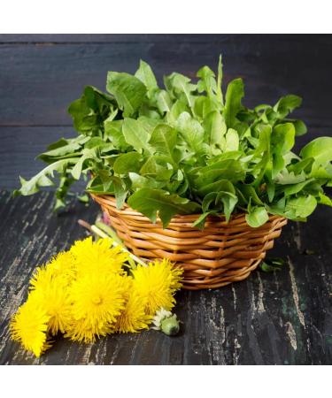 Alpi Investment OOD Alpi Nature Organic dandelion tea 100 g organic dandelion leaves cut dandelion dried dandelion leaves from wild collection dandelion tea organic - Buy Online on GoSupps.com