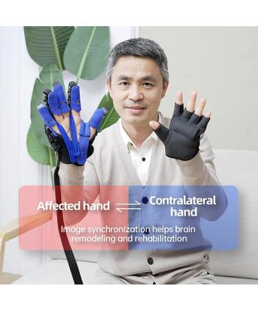 Stroke Hemiplegia Finger Training Device - Both Hands Rehabilitation Robot Gloves Finger Straightening Brace Guard Protector for Hand Function Recovery Both Hands Available Blue XX-Large Blue XX-Large - Buy Online on GoSupps.com