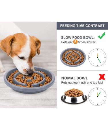 Pecute Slow Feeder Dog Bowl Set with Non-Skid Mat - Stainless Steel Water Bowl for Dogs and Cats - Eco-Friendly Design - 13.5oz Grey Bowl - Buy Online on GoSupps.com