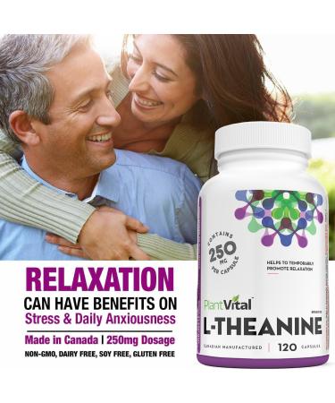 PlantVital High Potency L-Theanine 250mg Capsules - 120 Count - L Theanine Supplement for Relaxation and Stress Management Non-GMO Made in Canada - L-Theanine Supplements 4 Month Supply 120 count (Pack of 1) - Buy Online on GoSupps.com
