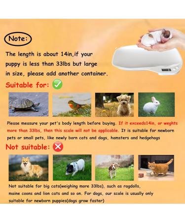 Digital Pet Scale Small Animal Weight Scale Portable Electronic Weighing Scale with LCD Display(Max. 33 lbs) Multifunction Kitchen Scale for Food/Puppy/Kitten/Lizard/Hamster/Tortoise/Whelping - Buy Online on GoSupps.com