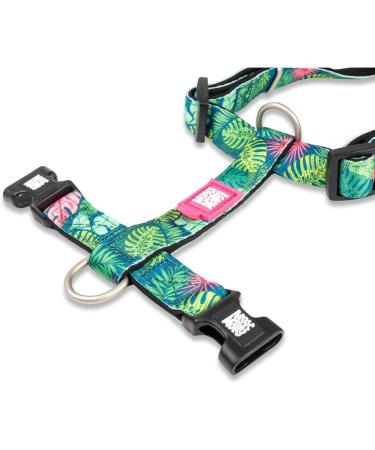 Max & Molly H-Shape Dog Bowls | Ultra-Comfortable Neoprene Dishes for Medium Dogs | Tropical Design Padded & Safe for Your Loyal Companion - Buy Online on GoSupps.com