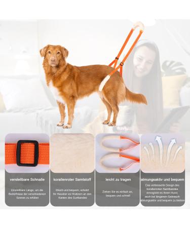 Shop Lollanda Walking Aid for Dogs - Support Mobility for Sick & Older Dogs | Orange Wearable Aid & Dog Dishes - Buy Online on GoSupps.com