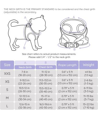 Buy Bella & Pal Dog Harness for Small Dogs - Step-In Air Mesh with Leash Reflective & Breathable - XXS Lavender - Perfect for Puppies & Cats - Buy Online on GoSupps.com