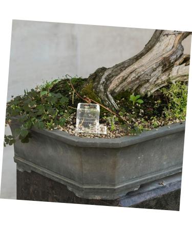Mipcase Pet Water Feeder Ant Feeding Bowl Ants Farm Water Feeders Insect Feeder Ants Watering Cup Plastic - Buy Online on GoSupps.com