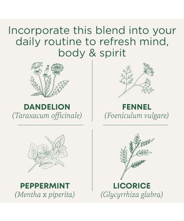 Traditional Medicinals - Organic Everyday Detox Dandelion Herbal Tea (Pack of 6) - 96 Tea Bags Total EveryDay Detox Dandelion 16 count (Pack of 6) - Buy Online on GoSupps.com