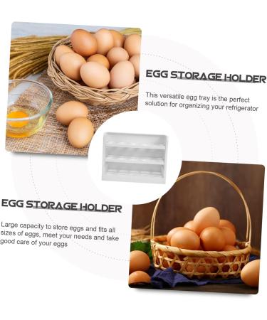 GLEAVI Flip The Egg Tray Eggs Deviled Egg Holder Clear Plastic Tray Household Egg Storage Rack Egg Rack Dog - Buy Online on GoSupps.com