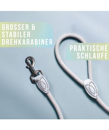 High-Quality 1.7m No Tangle Dog Training Leash - Aqua Braided Rope with Hand Loop - Buy Online on GoSupps.com