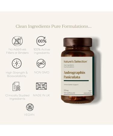 Andrographis Paniculata 500mg - 120 Capsules - High Strength Supplement - No Fillers - GMO Free - Vegan - Made in The UK - Buy Online on GoSupps.com