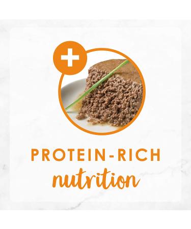 Purina Fancy Feast Grain Free Wet Cat Food Variety Pack - Poultry & Beef (24 x 3oz Cans) - Buy Online on GoSupps.com