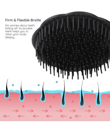 Segbeauty 4pcs Scalp Massager Shampoo Brush Shower Comb for Hair Growth Beard Brush Br - Buy Online on GoSupps.com