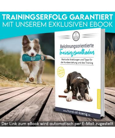 Dog is K nig Feed Bag for Dogs - Dummy for Training | Includes Treats & Training Book | Petrol Blue Training Dummy - Buy Online on GoSupps.com