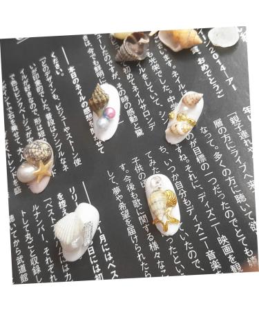 minkissy 1 Box Conch Jewelry Nail Art Decoration Nail Decorations for Nail Art Shell Decor Nail Jewelry Conch Shells Nail Decoration Nail Ornament Nail Stickers 3d False Nails - Buy Online on GoSupps.com