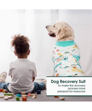 Kuoser Dog Post-Op Recovery Suit for Male Dogs - Breathable & Leakproof - Anti-Lick Body - XS Green (1 Pack) - Buy Online on GoSupps.com