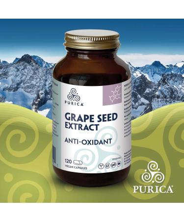 Purica Grape Seed Extrat 120 Vcaps - Buy Online on GoSupps.com