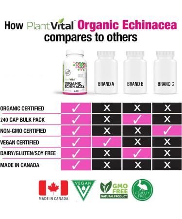 PlantVital Echinacea capsules 500mg Source of Vitamin C and Zinc Treatment for respiratory tract infections Helps relieve cold symptoms 240 capsules Vegan non-GMO. Made in Canada. 240 count (Pack of 1) - Buy Online on GoSupps.com