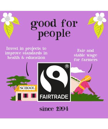 Clipper Fairtrade Organic English Breakfast Tea Bags - 80 Black Tea Bags | Eco-Friendly, Sustainable & Fair Trade - Buy Online on GoSupps.com