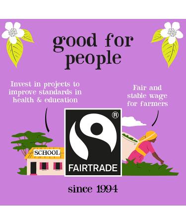 Clipper Fairtrade Organic Decaf Tea Bags - 80 Unbleached Bags, 8.2 oz, Plastic-Free Packaging - Buy Online on GoSupps.com