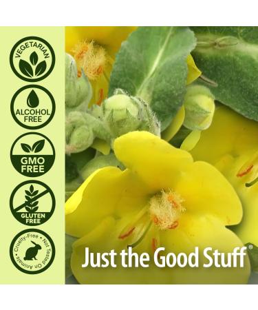 Nature's Answer Mullein X Kids Throat Spray 2oz - Gluten Free Vegetarian Alcohol Free Non GMO Clears Mucus Soothes Irritated Throat Made in USA - Support for Children Toddlers- Travel Size - Buy Online on GoSupps.com