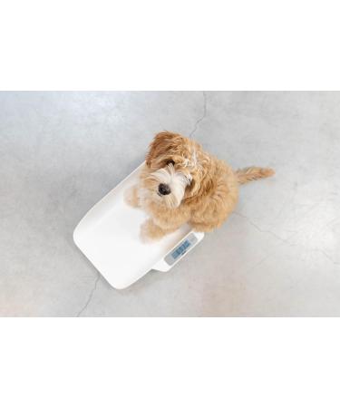 Alecto Baby BC29 Digital Baby Scale - Accurate Stabilization System Extra Large LED Display 20 kg Capacity Automatic Shutdown - Buy Online Internationally - Buy Online on GoSupps.com