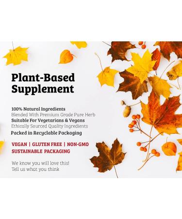 DR WAKDE's Punarnava Powder (Boerhavia diffusa) 500g (1.1lb) | 100% Pure Raw & Dried Herbal Supplement | Ayurvedic Detox Herb for Wellness | Vegan & Additive-Free - Buy Online on GoSupps.com
