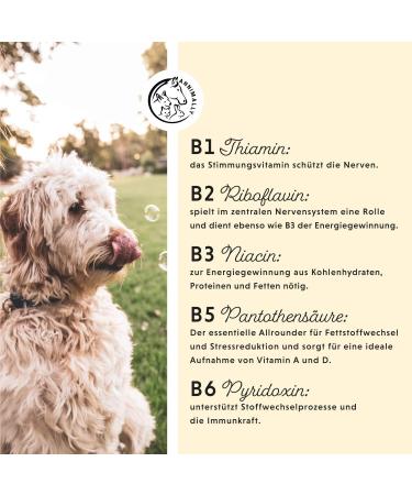Premium Vitamin B Complex for Dogs & Cats - 120 High-Dose Tablets for 4 Months | Essential B Vitamins & Selenium Supplement - Buy Online on GoSupps.com