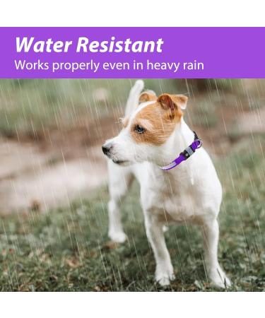 Buy LED Waterproof Dog Collar - Luminous USB-C Adjustable Light for Small & Medium Dogs - 7 Colors Flashing - Purple (38-50cm) - Buy Online on GoSupps.com