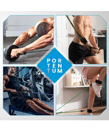Resistance Bands Weight Building Kit - 150 lbs - 12 Elastic Bands for Yoga, Calisthenics, Gym - Elastic Muscle Bands with Anklets and Door Grip - Buy Online on GoSupps.com