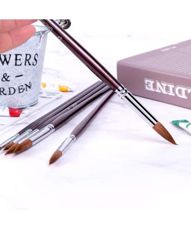 Sable Watercolour Brushes Set - Round Point Tip for Watercolor & Acrylic Painting - Buy Online on GoSupps.com