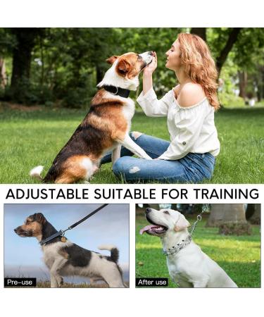 NAVESO Metal Choke Chain for Dog Prong Collar for Dogs Dog Training Collar Anti Bark Collars for Dogs Adjustable Dogs Collars with Comfort Rubber Tips 4mmx60cm for Large Medium Small Dogs - Buy Online on GoSupps.com
