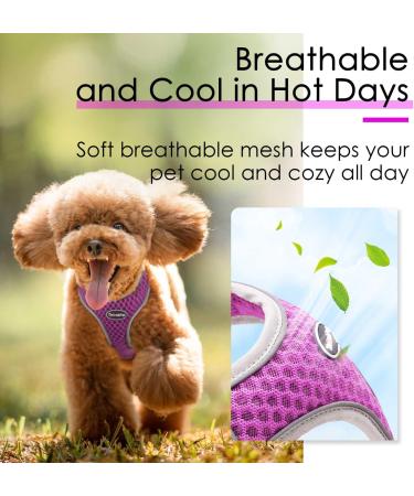 Thinkpet No-Pull Dog Harness - Breathable Adjustable Safety Harness for Small Medium & Large Dogs - Soft Reflective Padded - Purple (1 Pack) - Buy Online on GoSupps.com