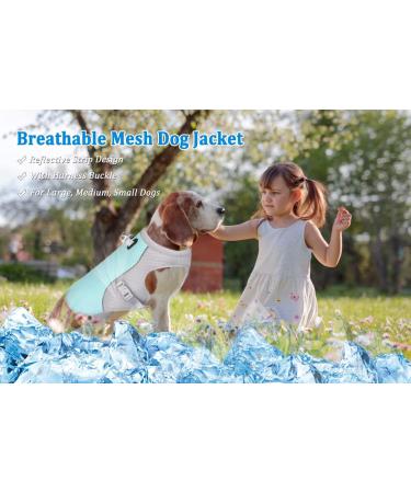 TVMall Dog Cooling Vest - Breathable Mesh Cooling Jacket for Summer | Adjustable Reflective Dog Coat for All Sizes (M Blue) - Buy Online on GoSupps.com