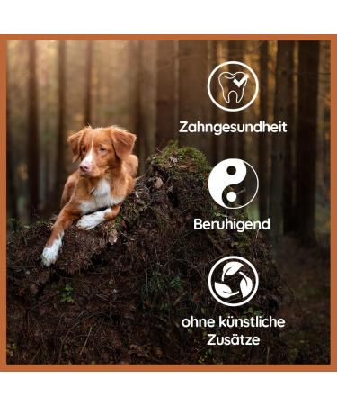 Wildfang Coffee Wood Chews for Dogs & Puppies | 100% Natural Durable Chewing Root | Size M (up to 25 kg) - Buy Online on GoSupps.com