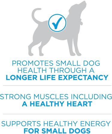 Purina ONE +Plus Small Breed Dry Dog Food with Beef - 1.81 kg Bag 1.81 kg (Pack of 1) - Buy Online on GoSupps.com