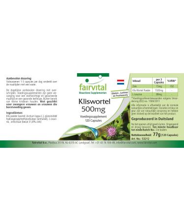 Fairvital | Burdock Root 500mg with Zinc - 120 Vegan Highly Dosed Capsule - Buy Online on GoSupps.com