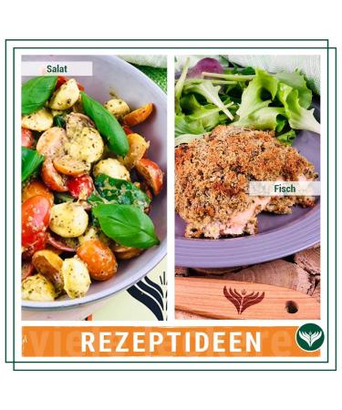 Buy Azafran ORGANIC White Pepper Whole Peppercorns 500g - Perfect for Pepper Mills - International Shipping Available - Buy Online on GoSupps.com