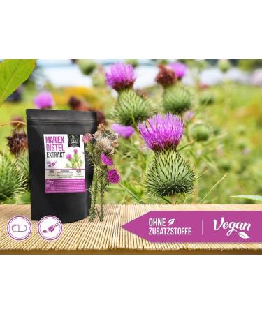 Mary Thistle Extract 80% Silymarin | 120 Vegan Capsules 450mg | High Dose Additive-Free | Made in Germany - Buy Online on GoSupps.com