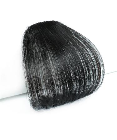 Bangs Hair Clip Hair Clip in Bangs Synthetic Clip In Hair Air Bangs Hairpiece Black Brown Extensions Mini Fake Bangs Hairpiece for Women Hairpieces (Color : 20-2)