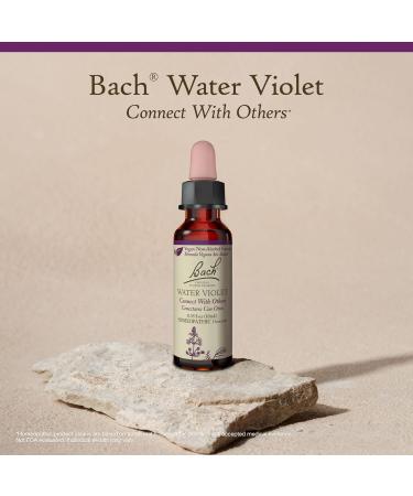 Bach Original Flower Remedies, Water Violet (Non-Alcohol Formula) - Connect with Others - Natural Homeopathic Flower Essence for Emotional Balance - Vegan, Gluten Free, Sugar Free - 10mL Dropper - Buy Online on GoSupps.com