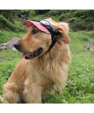 KQNM Dog Sunglasses - UV Protection for Small Dogs | Adjustable & Windproof Motorcycle Glasses - Buy Online on GoSupps.com