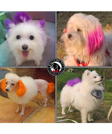 WELYEME Rainbow Dog/Pet Hair Dye Kit - Non-Toxic & Safe Fur Color Paint for Dogs/Cats - Buy Online on GoSupps.com