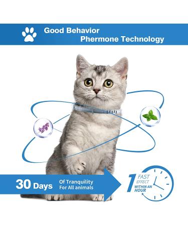 CPFK Cat Calming Collar 3 Pack - Pheromone Stress Relief for Cats and Kittens - Calm Anxiety and Promote Relaxation - Breakaway Design - Gray - Buy Online on GoSupps.com