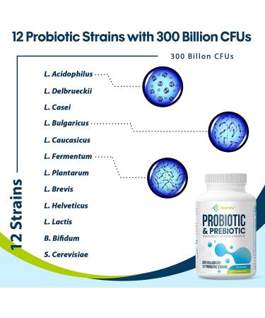300 Billion CFU Probiotics for Women and Men | 12 Strains Probiotics with Organic Prebiotics | Digestive & Gut Health Support | Immune Boost | 60 Capsules - Buy Online on GoSupps.com