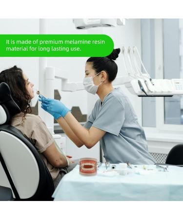 Ultechnovo 6-Sentence Dental Teaching Material | Oral Cavity Model & Brain Toys for Effective Teeth Brushing - Buy Online on GoSupps.com